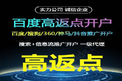 SEO与百度推广结合的营销策略——经典案例解析